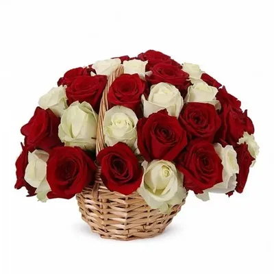 Фото плетеной розы с высоким качеством изображения