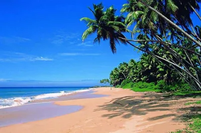 Картинки Пляжа Агонда Гоа: скачать в HD, Full HD, 4K