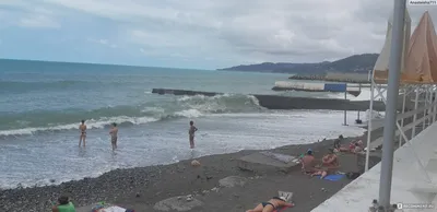 Красивые фотографии пляжа альбатрос в Сочи