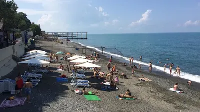 Фото пляжа альбатрос с детской зоной