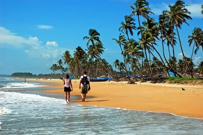 Пляж Анджуна Гоа: Фото и изображения в высоком разрешении