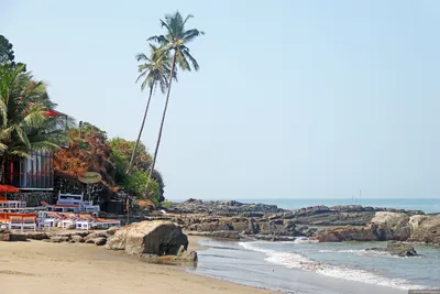Пляж Анджуна Гоа: Фото и изображения в формате HD