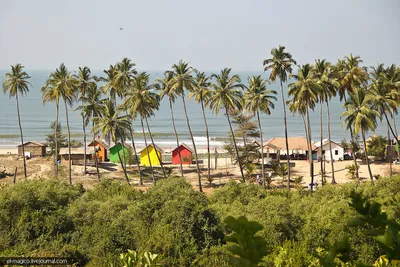 Пляж Анджуна Гоа: Фото и изображения для обоев