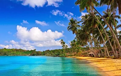 Фотографии, показывающие красоту Пляжа анджуна гоа