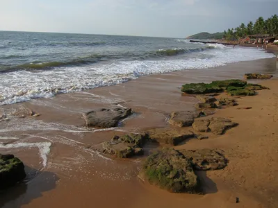 Пляж анджуна гоа: красота, которую нельзя передать словами
