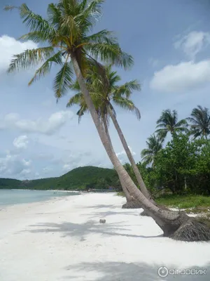 Новые изображения Пляжа бай сао фукуок в 4K разрешении