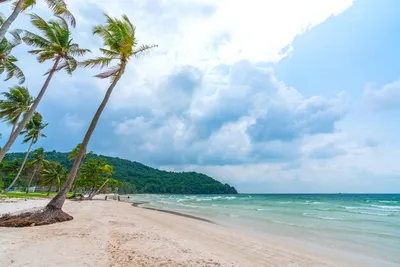 Красивые фото пляжа бай сао фукуок для бесплатного скачивания