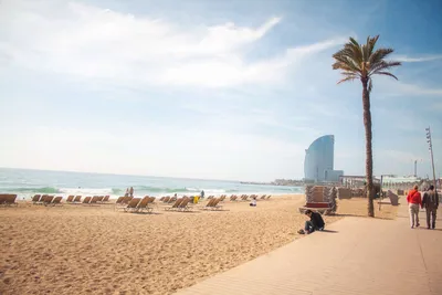 Фото Пляжа Барселонета: лучшие снимки для скачивания