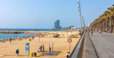 Фотографии Пляжа Барселонета: новые и удивительные