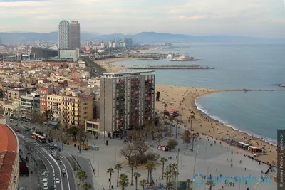 Пляж Барселонета: фото и картинки в разных форматах