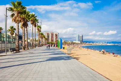 Фото Пляжа Барселонета в HD качестве