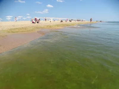 Фотки Пляжа Благовещенска с видом на закат