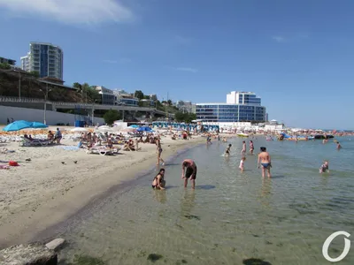 Изображения Пляжа Чайка в Одессе в HD качестве