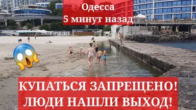 Фотосессия на Пляже Чайка Одесса: запечатлейте свои эмоции