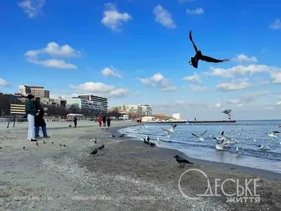 Фотографии Пляжа Чайка Одесса: наслаждайтесь красотой природного пейзажа