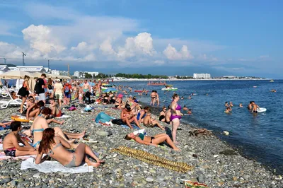 Бесплатные изображения Пляжа Чкаловского Адлера