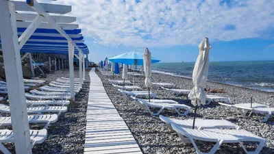 Фото пляжа Дельфин в Лазаревском - скачать бесплатно в HD качестве