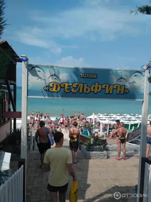 Фото пляжа Дельфин в Лазаревском - новые изображения в формате PNG