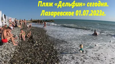 Фото пляжа Дельфин в Лазаревском - скачать в WebP формате