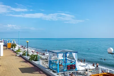 Картинки пляжа Дельфин в Лазаревском - выберите размер изображения для скачивания