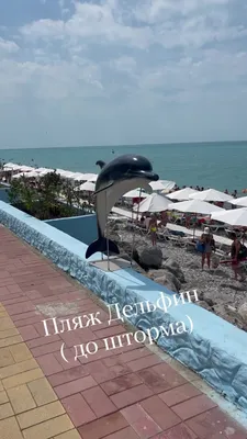 Пляж Дельфин в Лазаревском на фото: идеальное место для фотосессии