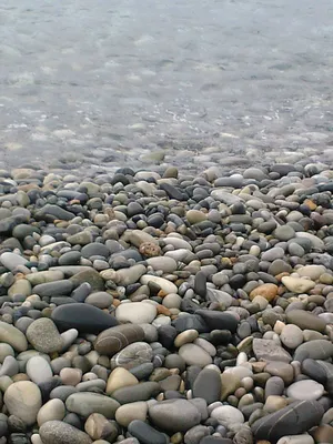 Арт-фото пляжа Дельфин в Лазаревском