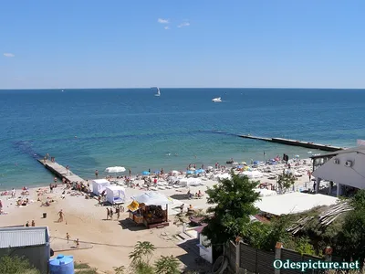 Пляж Дельфин в Одессе: выберите размер изображения и скачайте в HD, Full HD, 4K