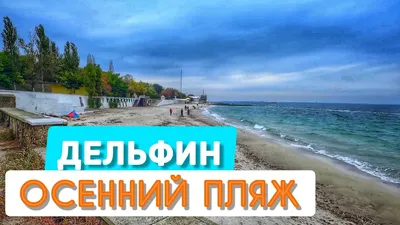 Удивительные виды Пляжа Дельфин Одесса на фото