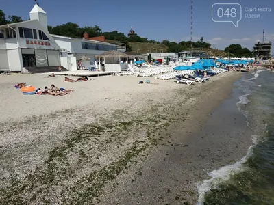Фотоэкскурсия на Пляж Дельфин Одесса: уникальные кадры