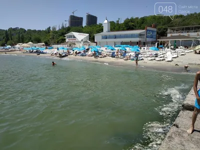 Пляж Дельфин Одесса: красота и спокойствие на фото