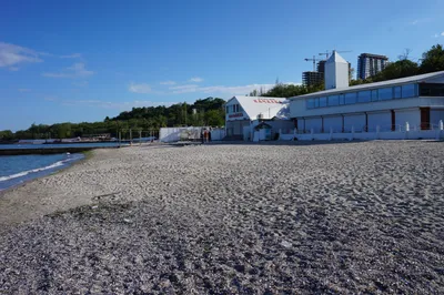 Пляж Дельфин Одесса: Скачать фото в формате png