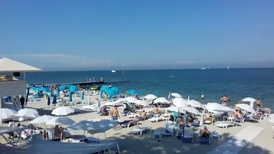 Картинки Пляжа Дельфин: Full HD изображения