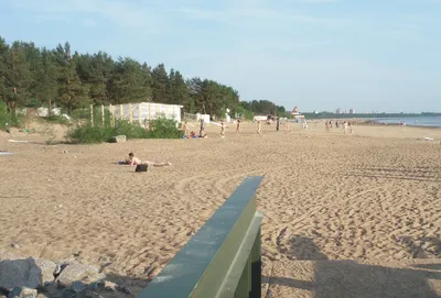 Фото пляжа дюны в высоком разрешении (JPG, PNG, WebP)