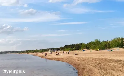 Фото пляжа дюны с возможностью выбора размера