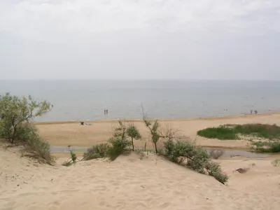 Уникальные фотографии пляжа дюны