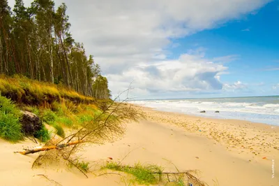 Лучшие снимки пляжа дюны в 4K