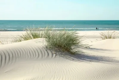 Фото пляжа дюны в формате JPG, PNG, WebP
