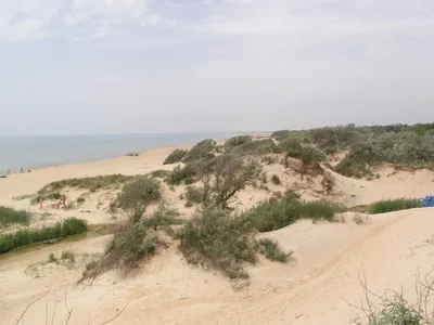 Удивительные виды пляжа дюны на фото