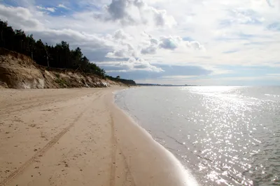Пляж дюны: гармония природы и красоты