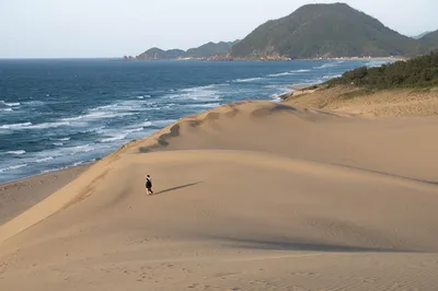 Уникальные снимки пляжа дюны в Full HD