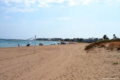 Пляж дюны: идеальное место для фотографических экспериментов