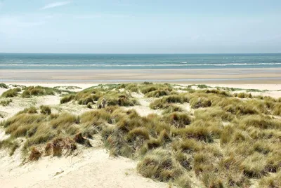 Пляж дюны: гармония природы и фотографии