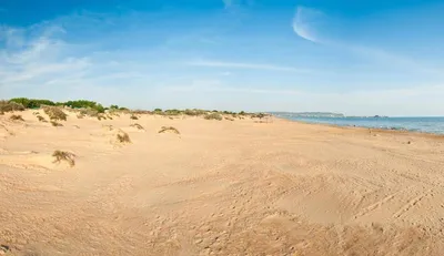 Фотографии пляжа дюны, которые заставят вас мечтать