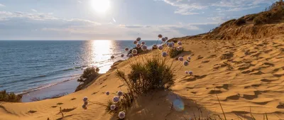 Фотографии пляжа дюны, которые передадут вам его атмосферу