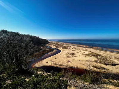 Фото пляжа дюны в HD качестве