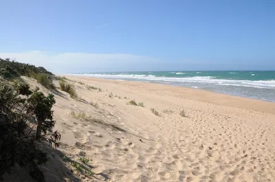 Фото пляжа дюны в формате PNG