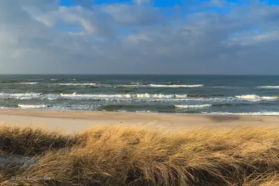 Картинки пляжа дюны на задний фон