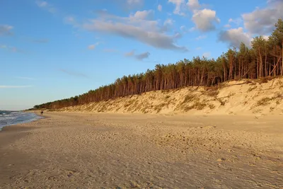 Изображения пляжа дюны с видом на море