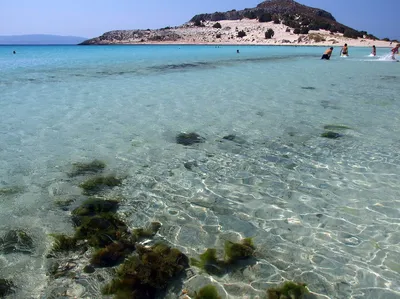 Пляж Элафониси на Крите: Фото с кристально чистой водой и розовым песком