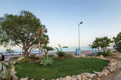 Пляж Фалираки: великолепие природы на фото